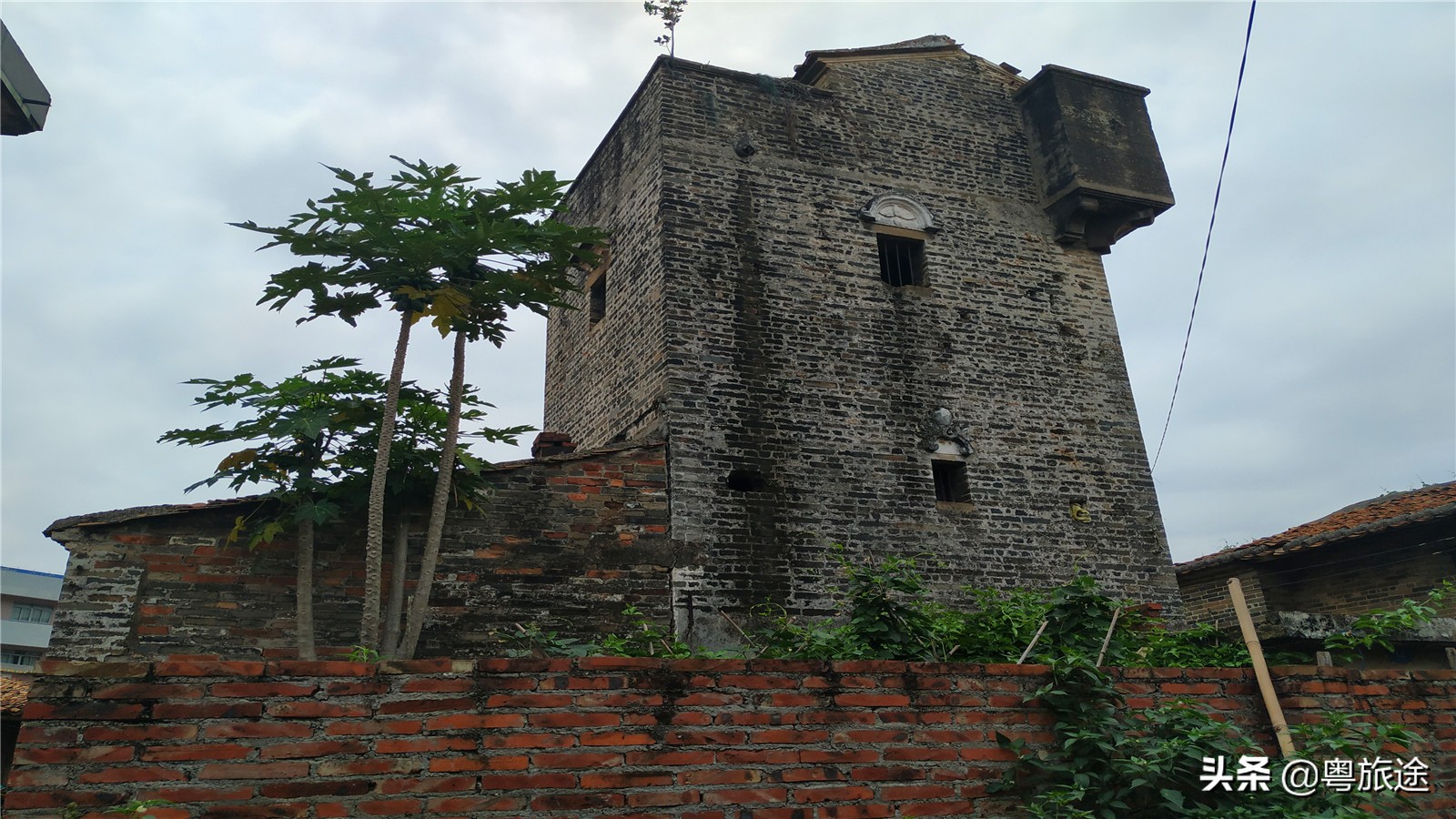 东莞桥头哪里有莲花,广东东莞桥头镇莲花公园