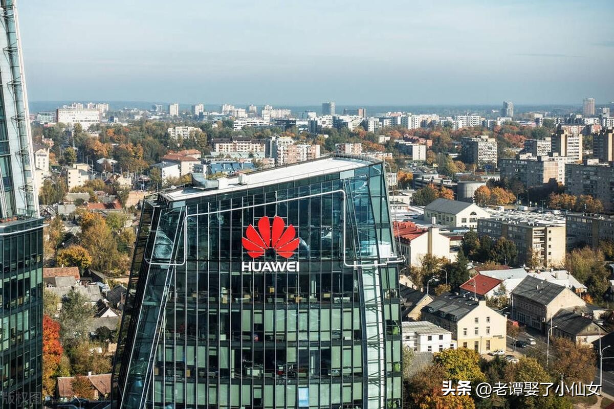 深圳十大专科学校排名,深圳有个学院就业率很高