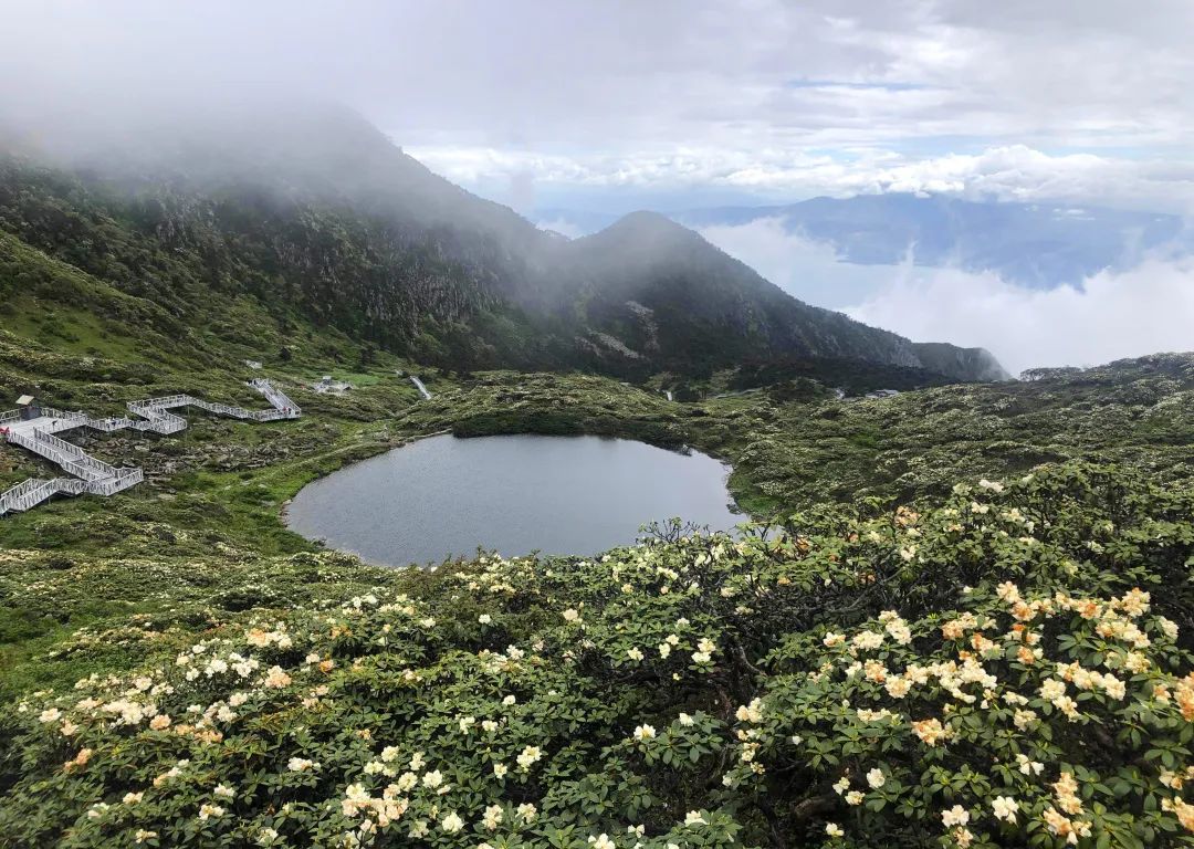 云南旅游避暑地点排名前十名,云南最佳避暑旅游城市