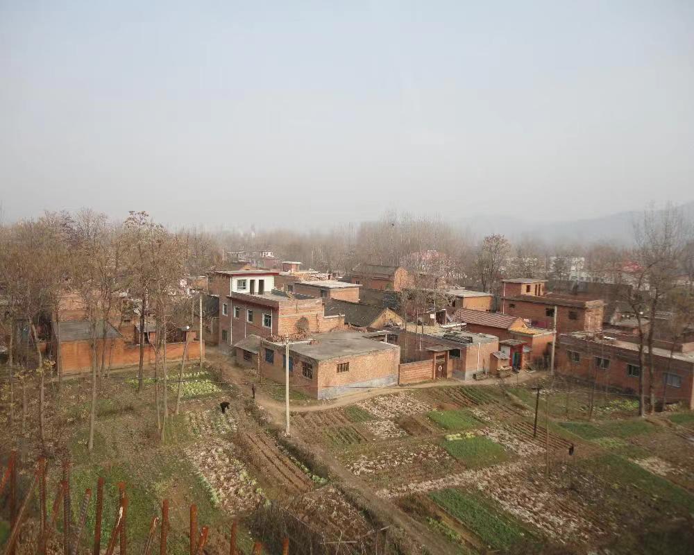 养殖1000条鳄鱼一年能赚多少钱,养殖五十条鳄鱼一年能有多少收入