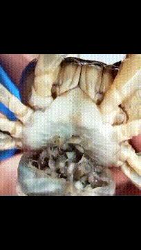 老爸请来的家教老师,老爸请了好几个家教