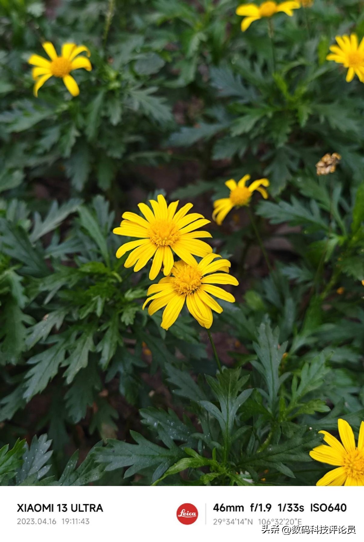 超微距镜头小米13ultra,超越小米13ultra影像