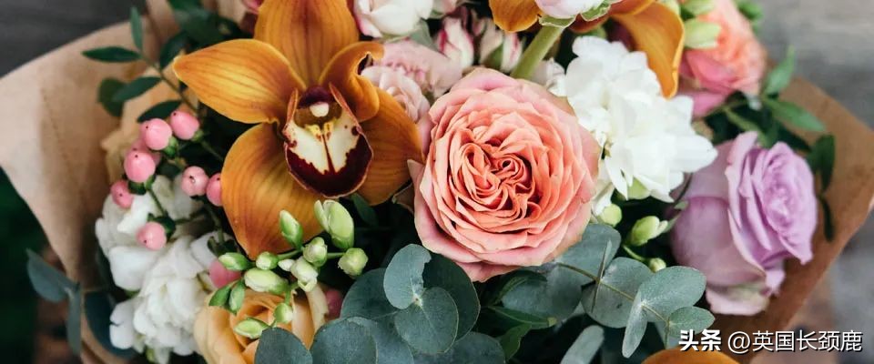 全英线上订花攻略:情人节限定fafa~爱你的心用花表示!