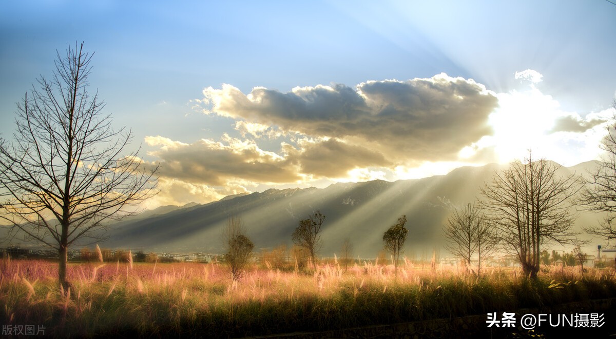丁达尔效应达利园效应达芬奇效应,达利园效应和丁达尔效应同时出现