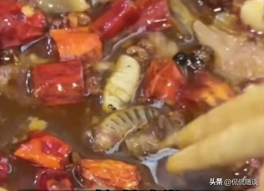 上海一顾客在羊肉里吃出虫子,羊肉吃出虫子的店