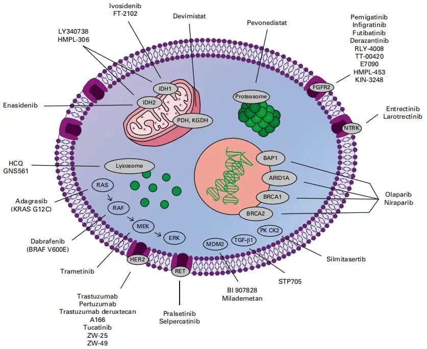 胆管癌的口服化疗,胆管癌的护理诊断及措施