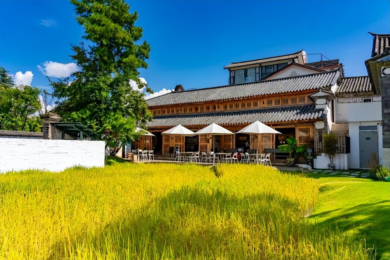 大理家乡话,云南大理家乡话怎么讲