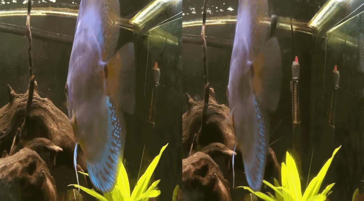 观看裸眼3d的方法诀窍,裸眼看3d图片的技巧