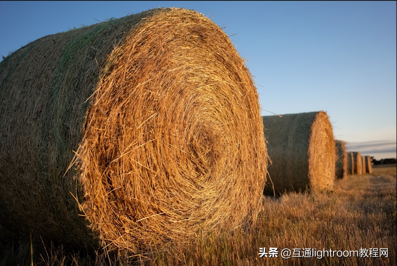 佳能r62转接腾龙15-30的镜头吗,佳能5d4配腾龙24-70mmf2.8镜头