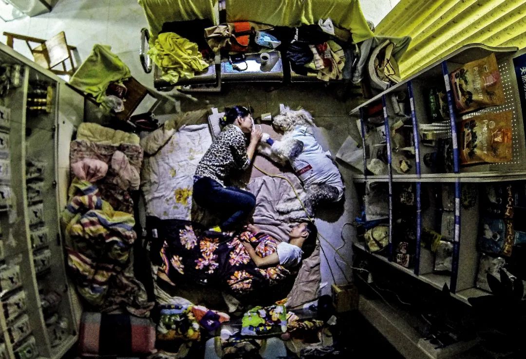 因为医药费抛弃宠物,因为治疗费用原因家属放弃治疗