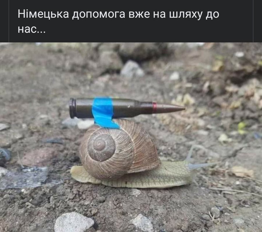 不顾国内缺粮缺电，乌大使催促德快运*器武**，法国人骂泽连斯基愚蠢