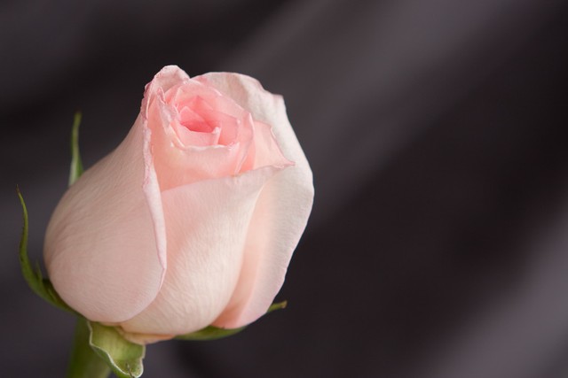 想要幸福的男人如何向女人表白,男人怎么向女的求婚