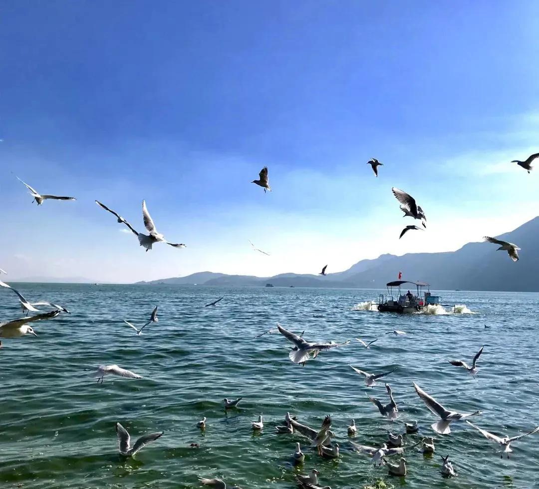 云南旅游攻略昆明旅游攻略,云南昆明旅游攻略