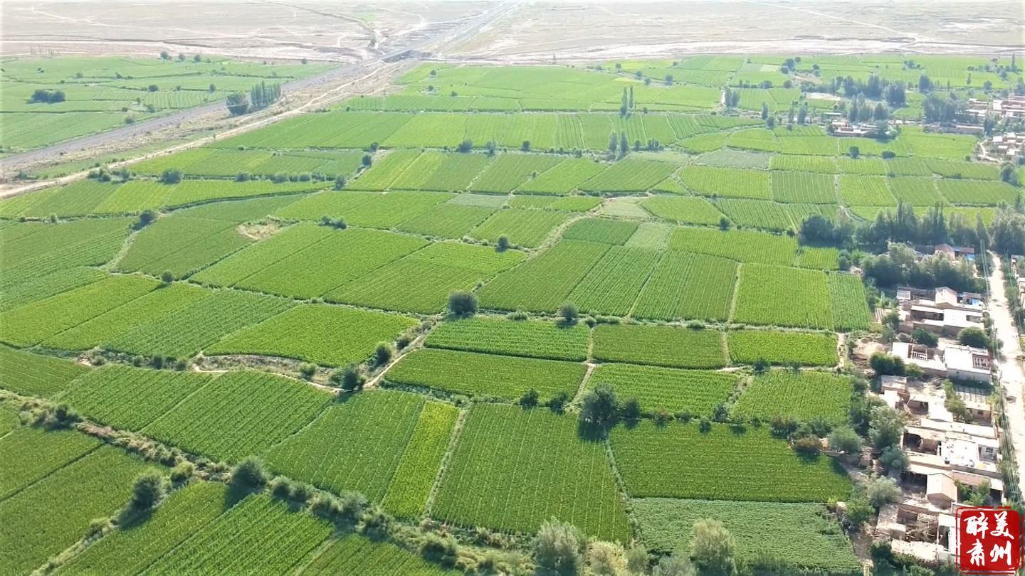 肃州区乡村振兴规划,肃州区西铜镇乡村振兴