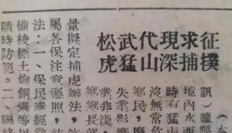 湖南奇人贺业武：一生杀死305只老虎，到死也不透露秘药配方