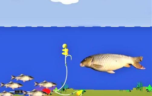 老坛玉米的正确使用方法,老坛玉米诱鱼技巧