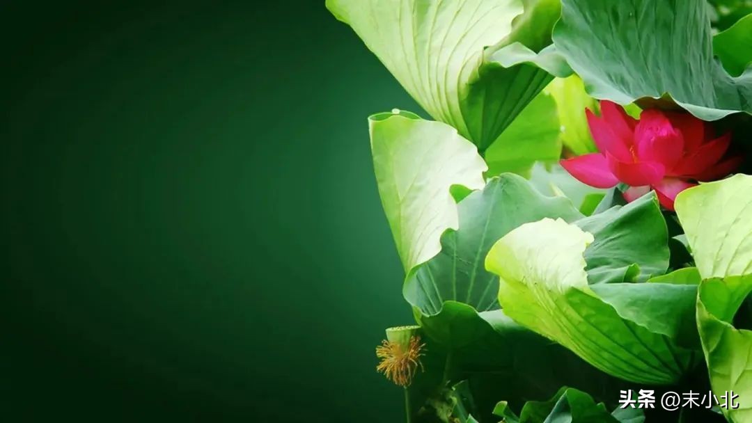 有以下两个特点的男人，不仅不靠谱，也很难给女人幸福