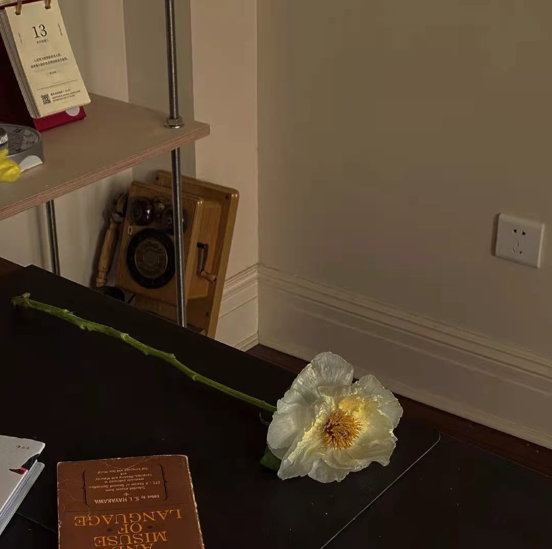 在外漂泊的人想家的文案,漂泊在外真的很辛苦想家的文案