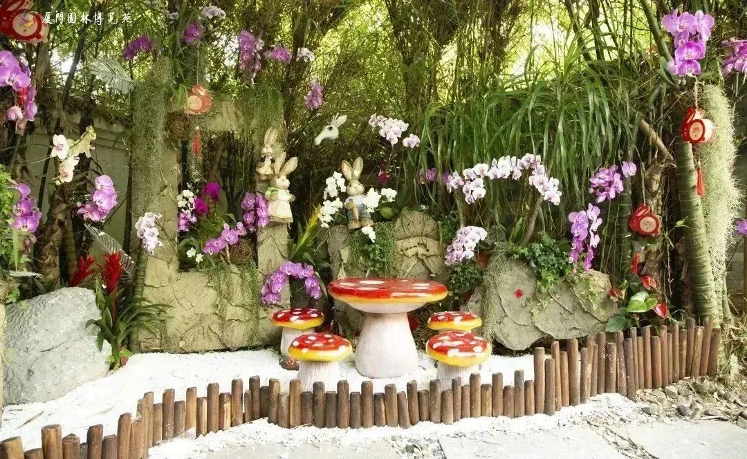 厦门十大最美花海,盘点厦门最美花海的地方