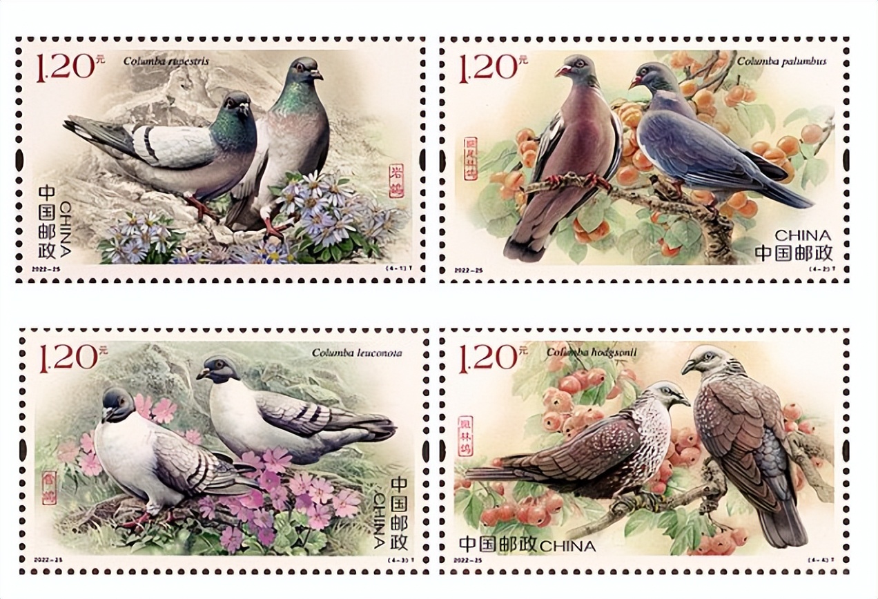 潜在翻倍的五个强势品种深度分析,深度分析低价品种