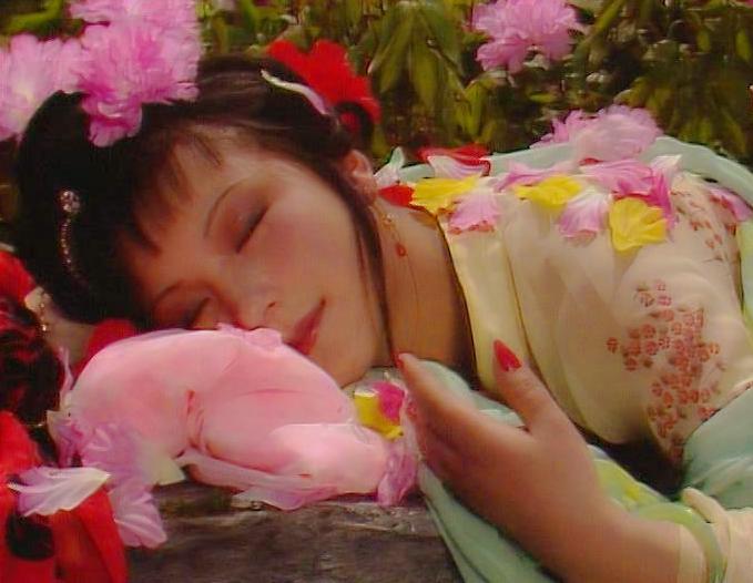 给最爱的Ta，送芍药还是玫瑰？