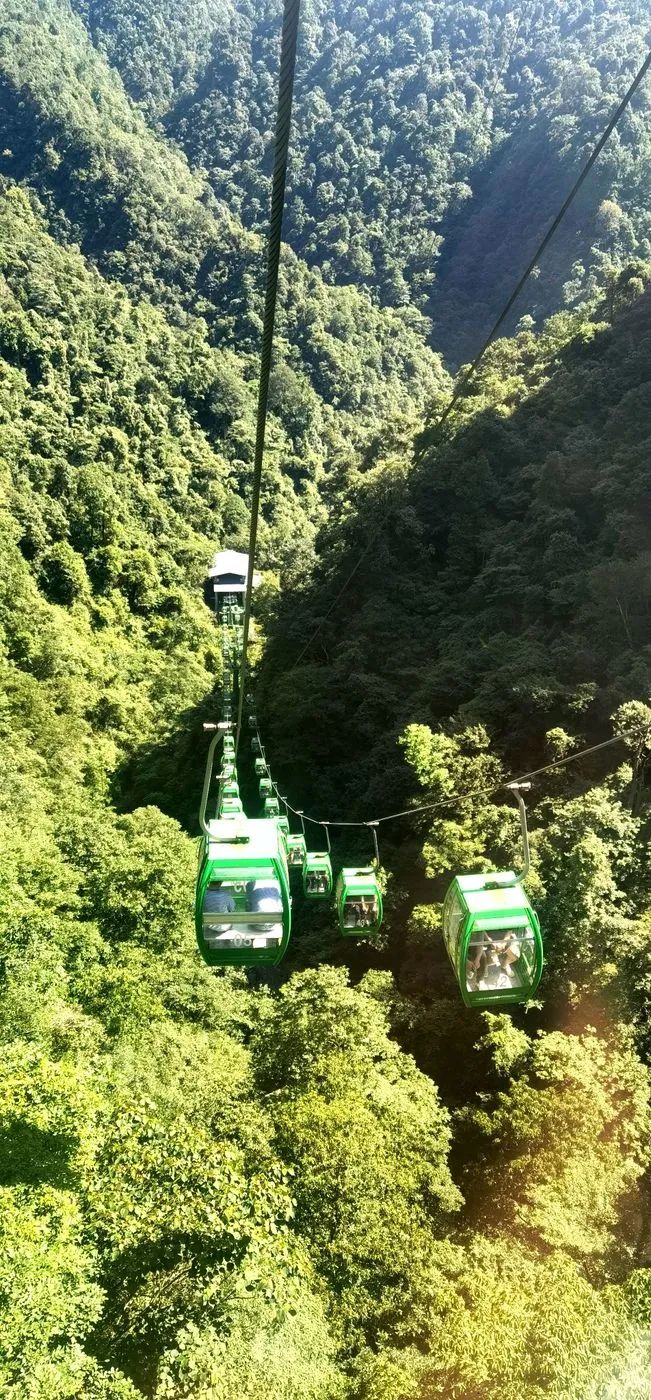 哈雷车主会福州分会,哈雷hog车主会八周年庆典巡游