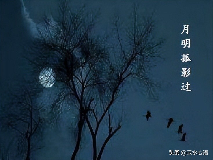 杜牧七律九日齐山登高,杜牧的七绝最为人称道