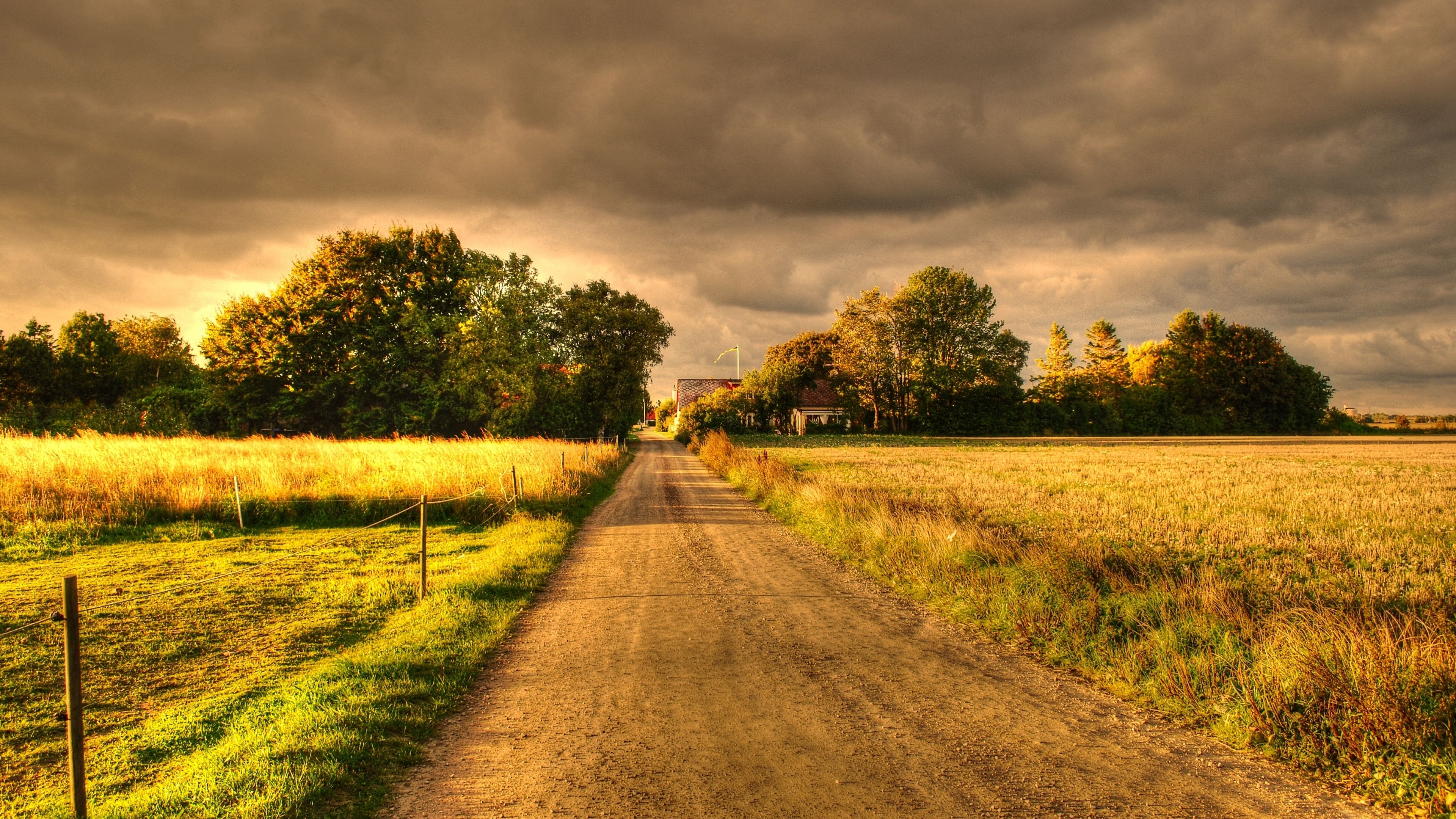 精选4k高清手机壁纸,精心壁纸4k超清全面屏