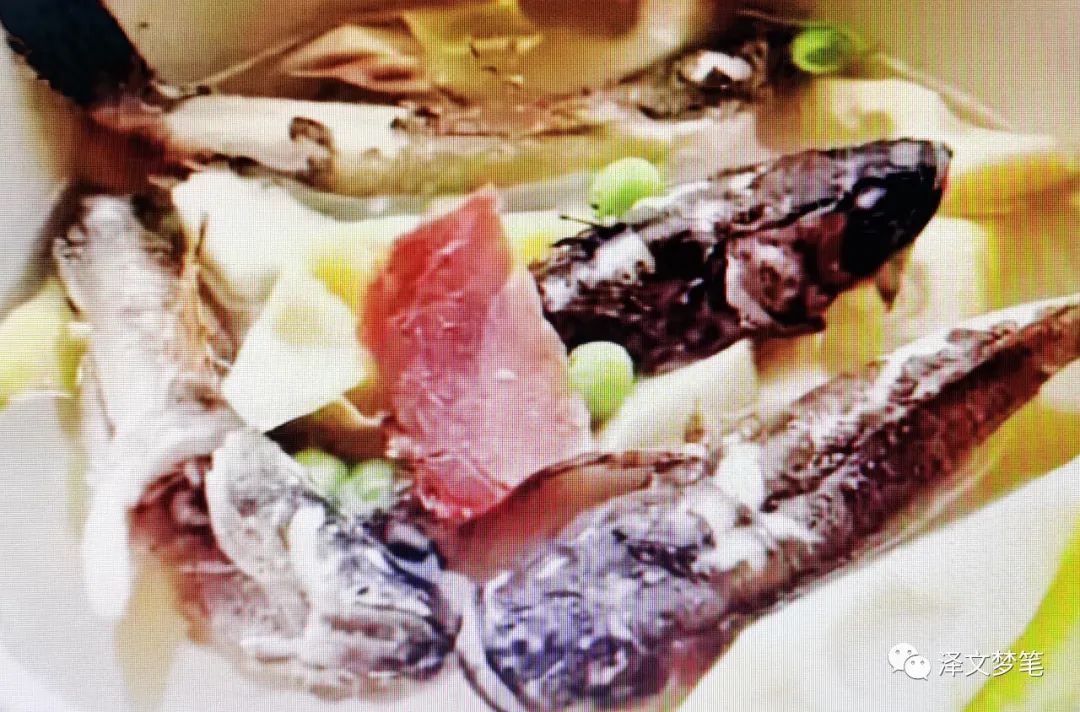 虎头鲨呆子鱼,虎头鲨是鲶鱼吗