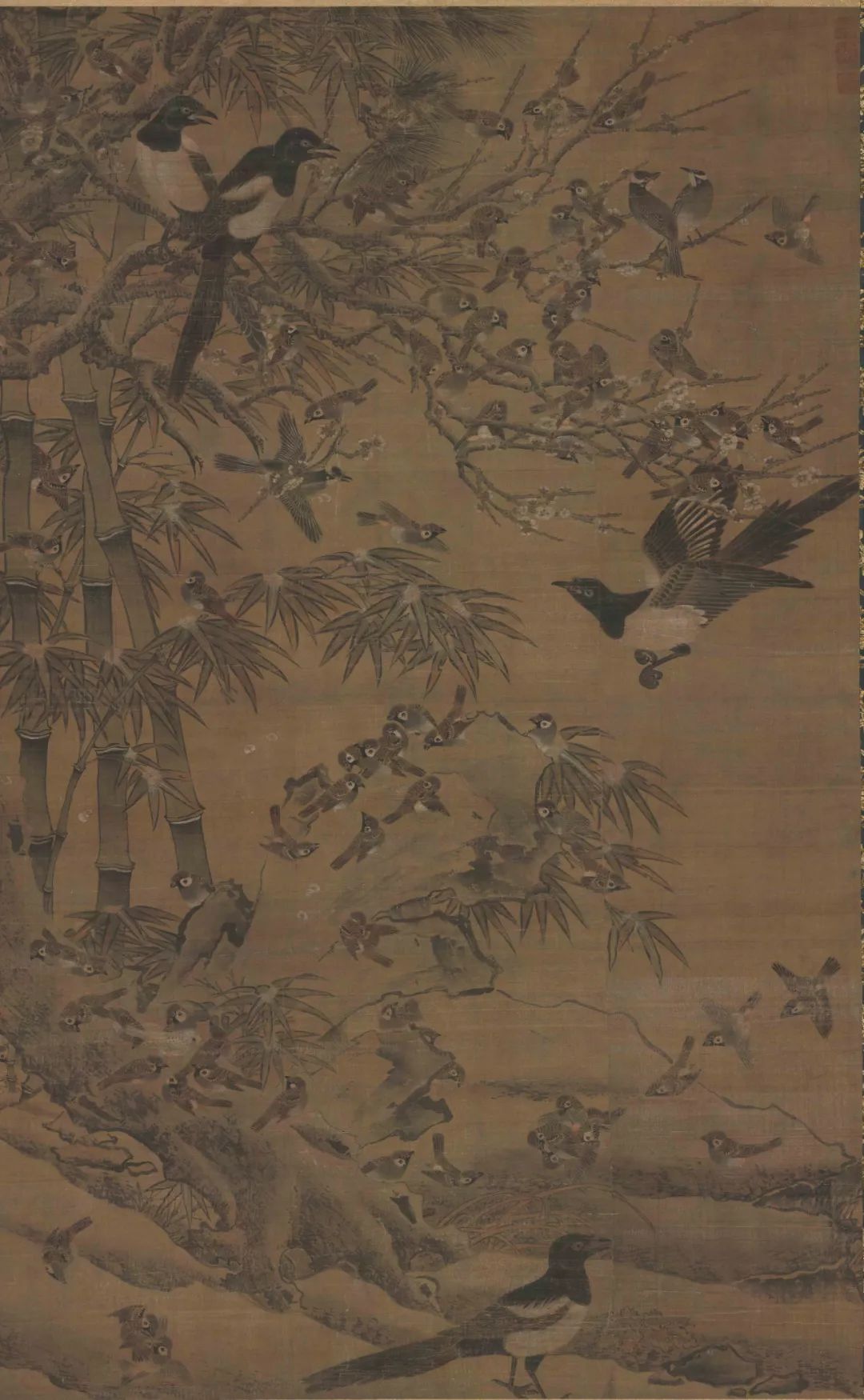 中国古代经典花鸟画鉴赏,古代写实的花鸟画