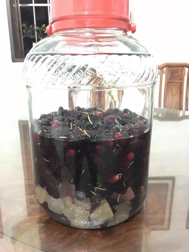 自制桑葚酒的做法,自制桑葚酒泡多久可以喝