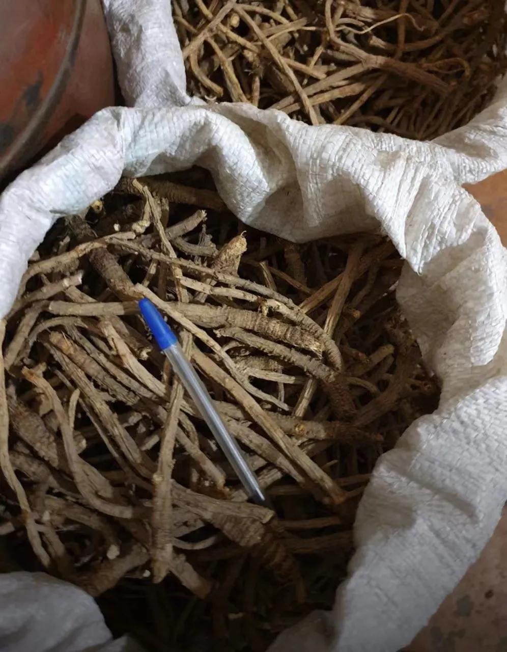 俄罗斯出口中国中草药,俄罗斯中草药