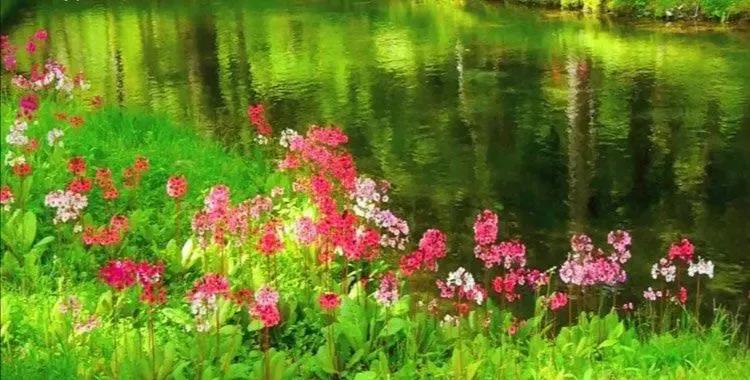 璧炵埍鎯呯殑璇楄瘝,鍙や唬鐖辨儏璇楄瘝