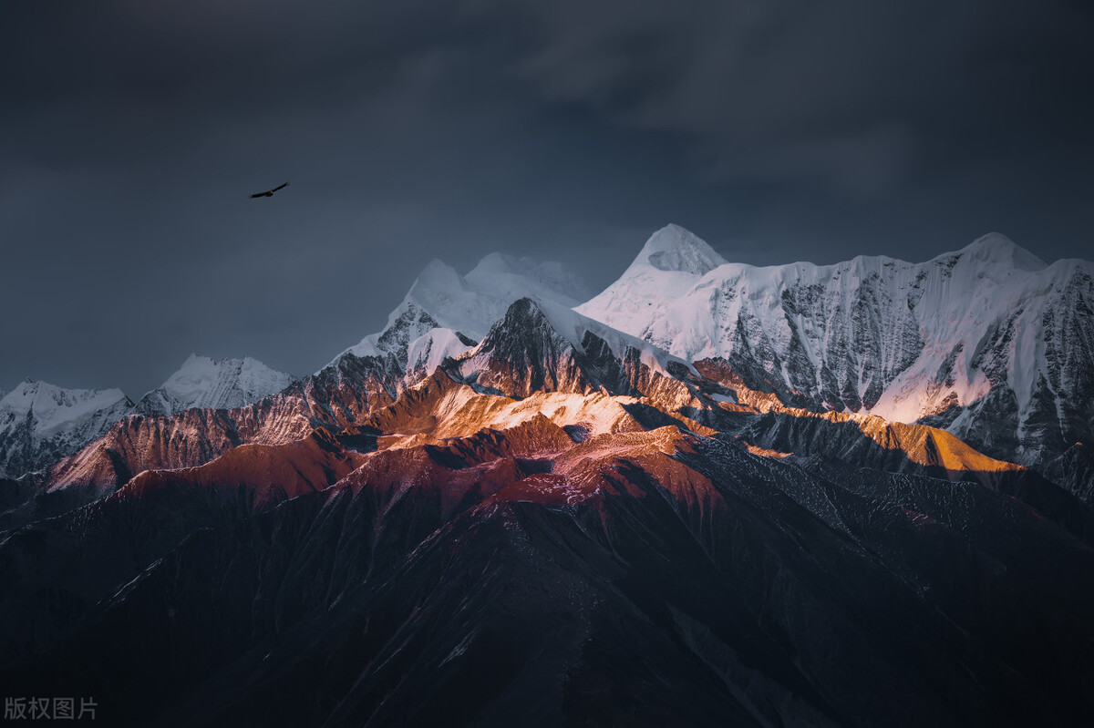 奇葩的购物商店,奇葩商场购物