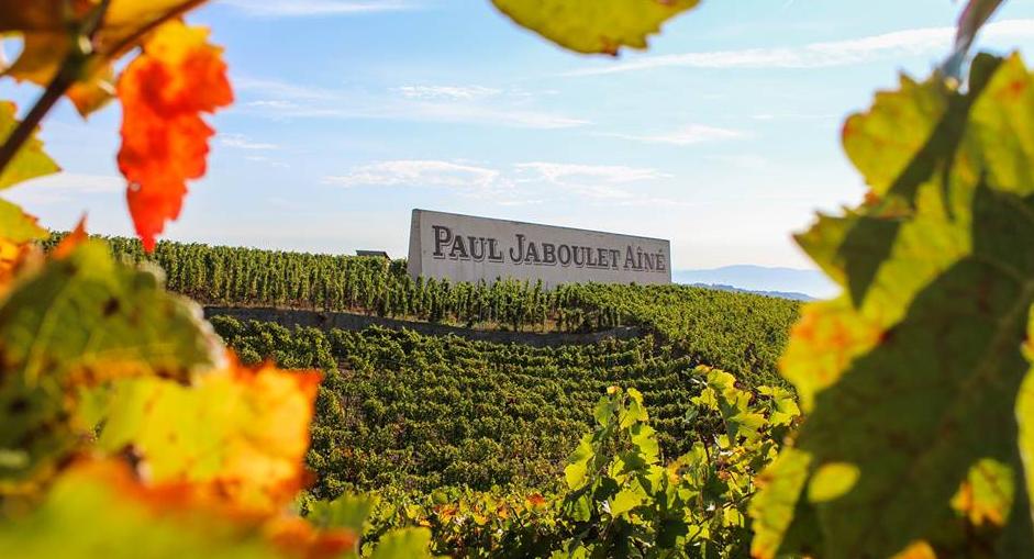 法国罗纳河谷葡萄酒,法国列级酒庄红酒推荐