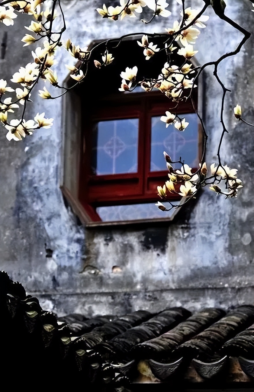 刚试了一下中华文字果然博大精深,涨知识了快来看看中国文字的魅力