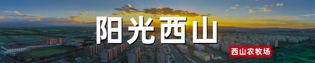 升级改造完成！西山农牧场足球场恢复开放