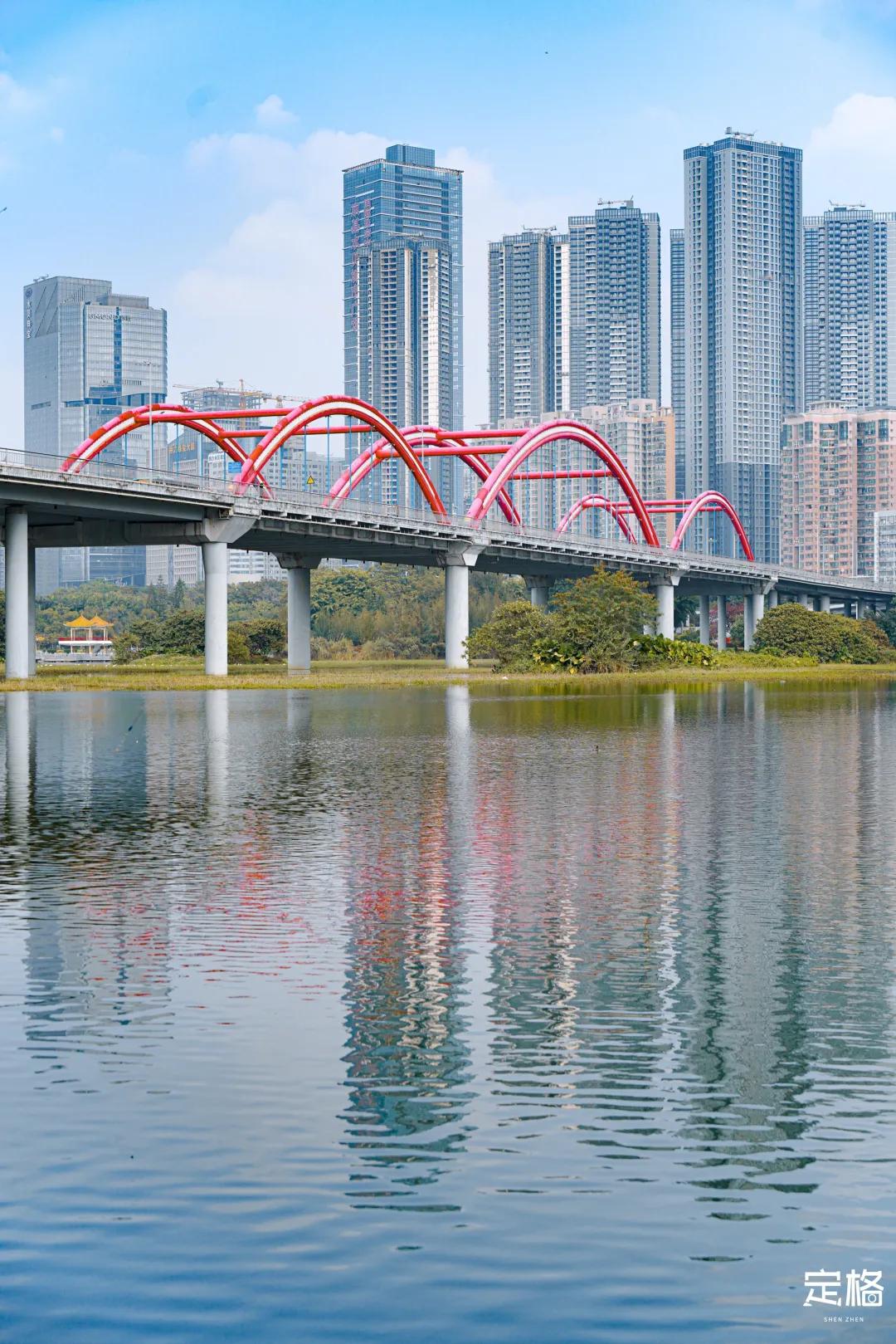 娲箹鍏洯娣卞湷,娲箹鍏洯鑽疯姳