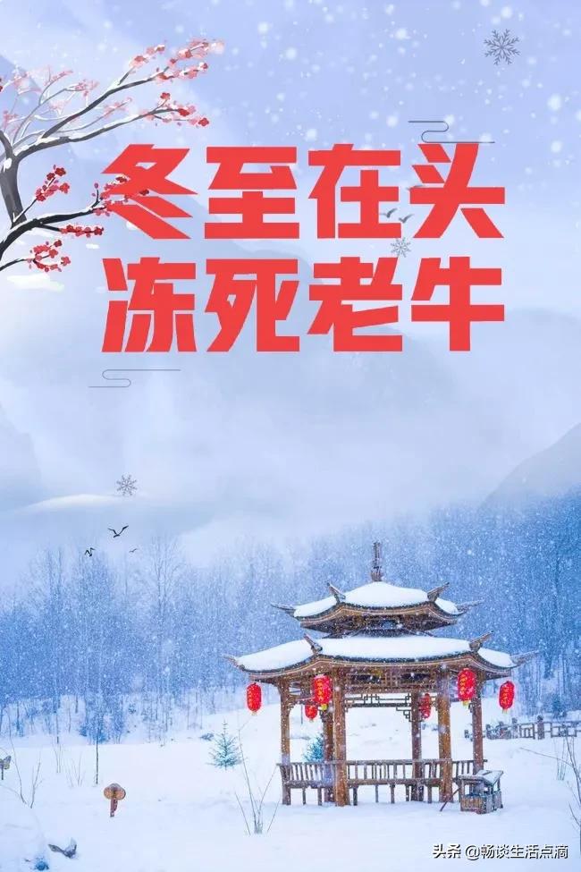 冬至在月头谚语翻译,冬至冻死老黄牛的谚语