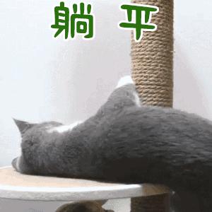 利用趋势找买点和卖点,利用板块资金净流入选股