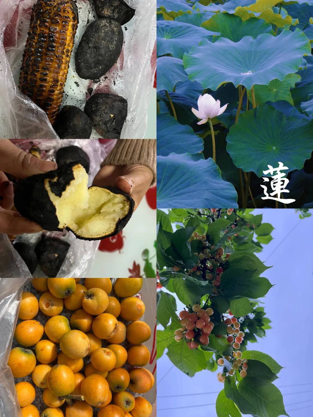 欢迎来到宜宾“北大门”！孔滩