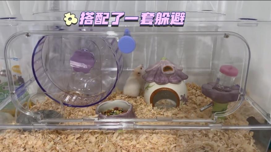 马蓉离婚后和王宝强同框,马蓉晒王宝强照