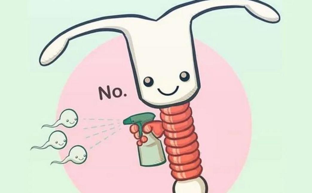 如果不避孕一辈子能生几胎,如果不备孕女子能生多少孩子