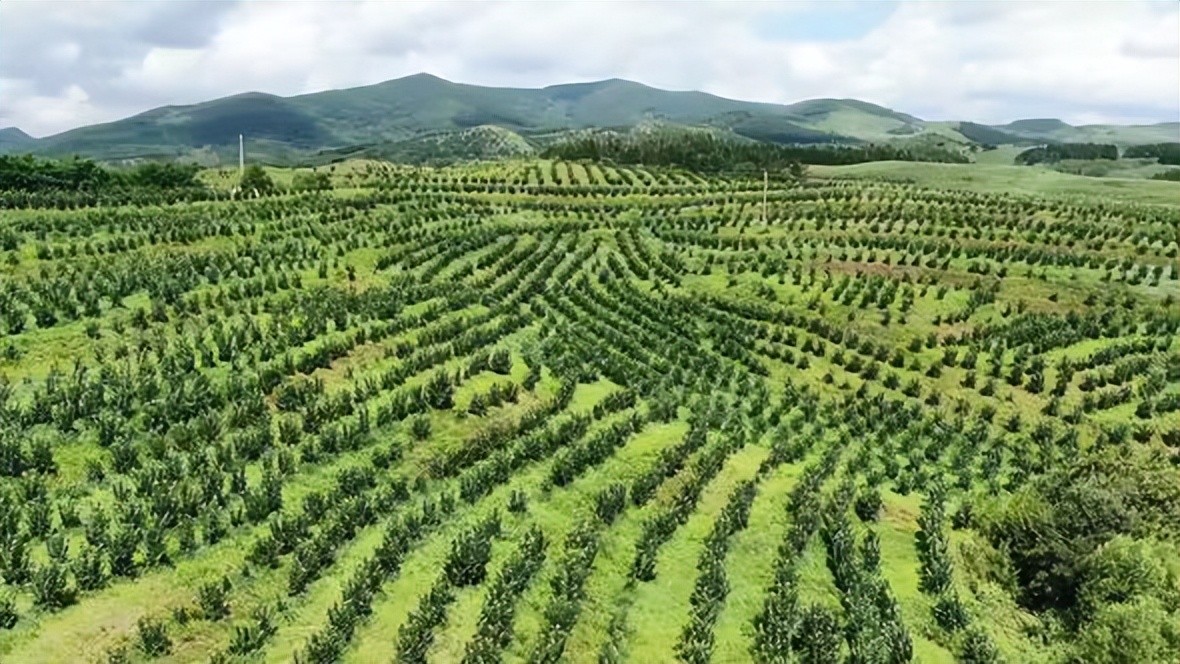 绘制乡村振兴新图景,描绘乡村振兴新画卷的下联