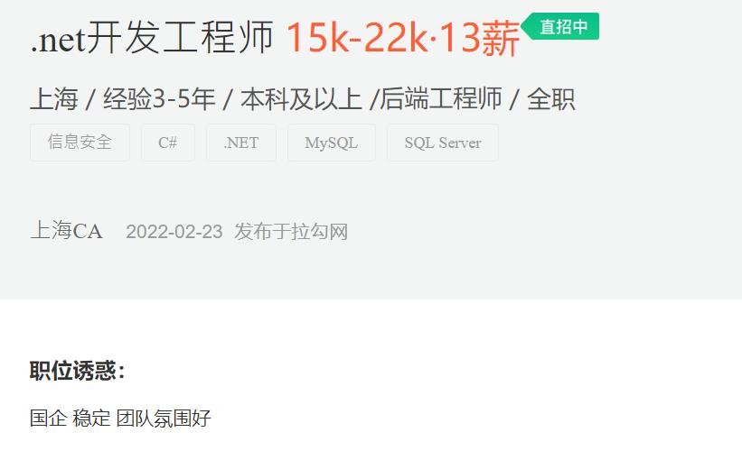 net开发工程师是做什么,从事互联网项目