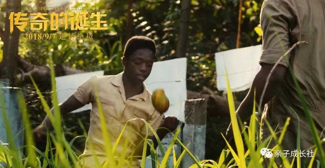 贝利成长过程,球王贝利的传奇一生电影