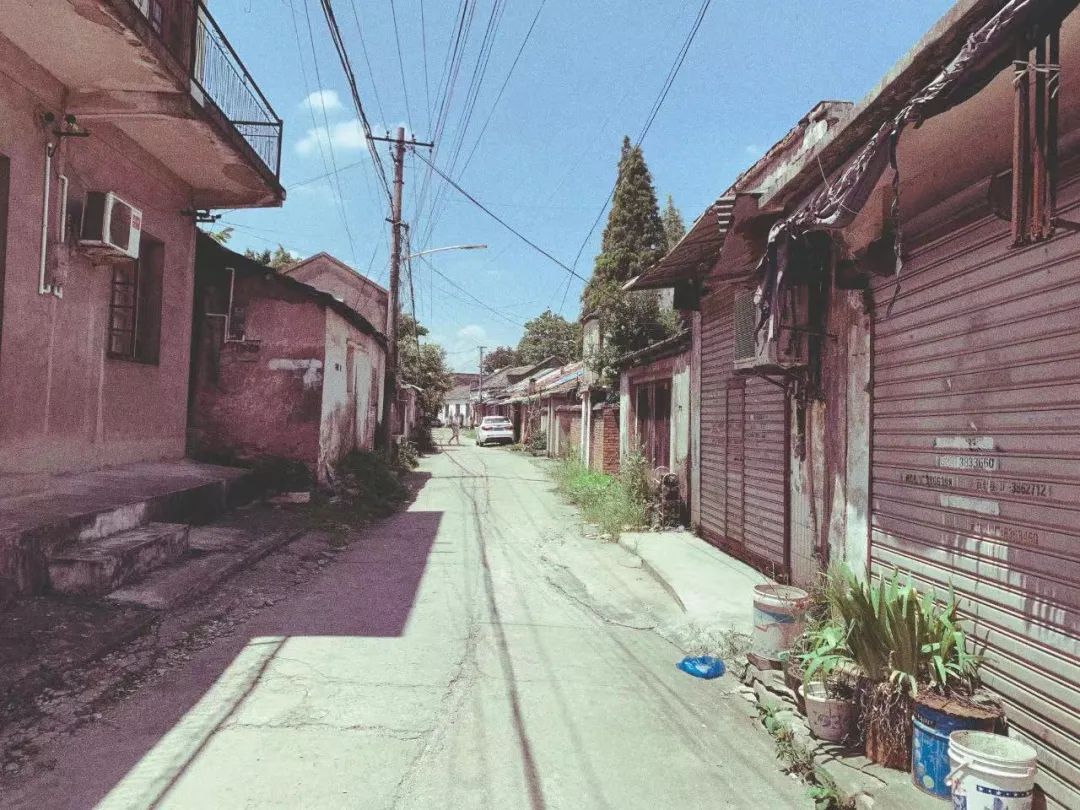 2022年淄博实验招生试题,2022年普通高等学校招生统一考试