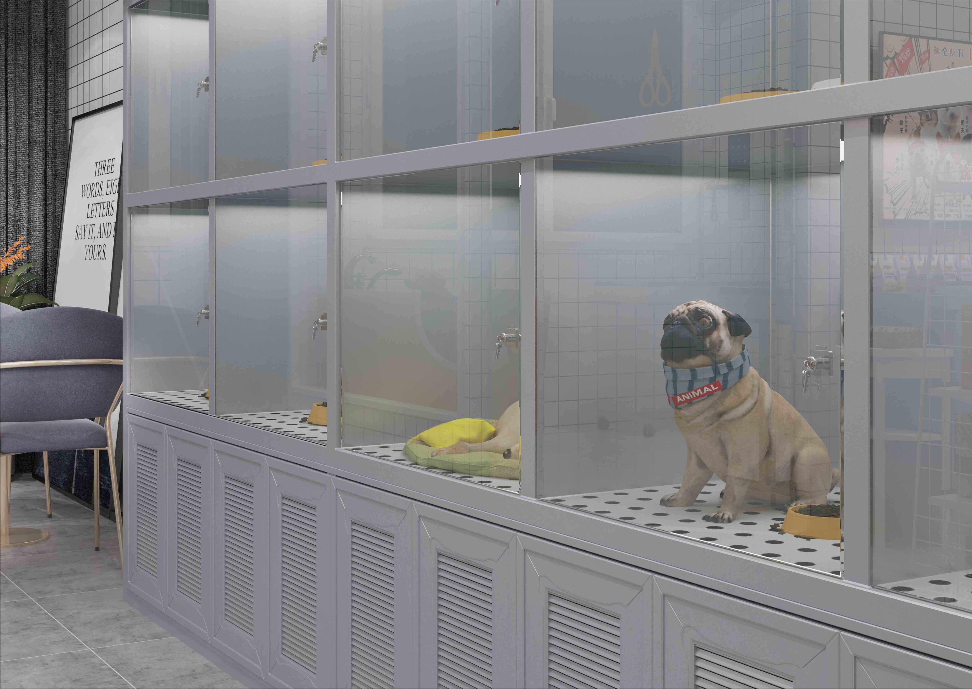 宠物店卖不了的狗去哪了,宠物店卖狗归哪个部门处理