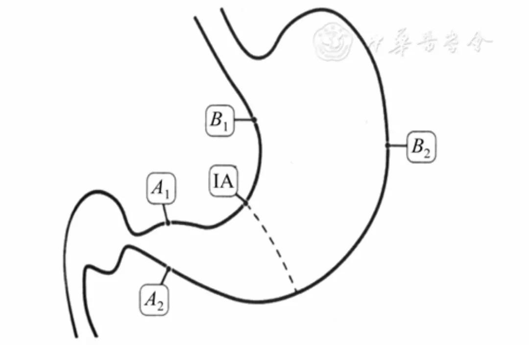 慢性胃炎的中医诊断及诊疗,慢性胃炎西医诊断流程