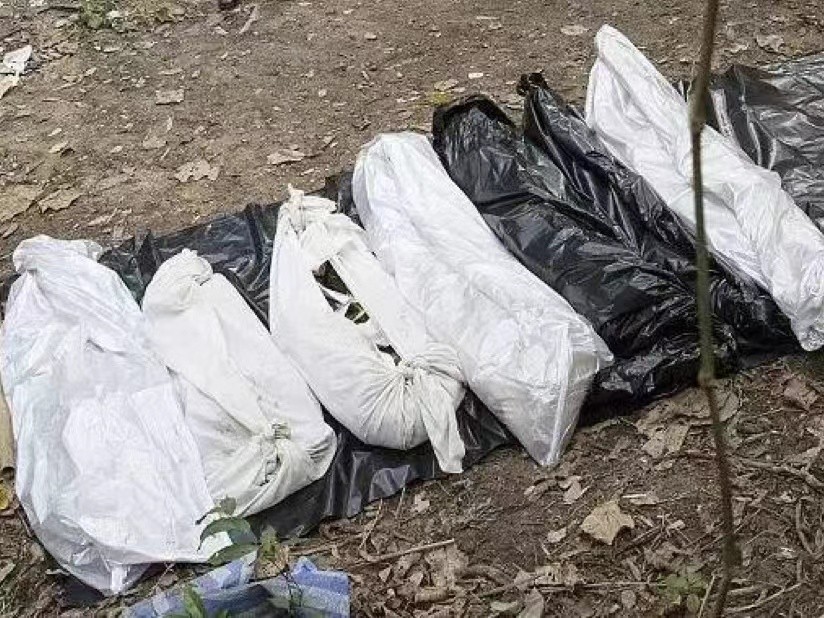 人口贩卖、器官割除，泰国男模餐厅，难以拥有富婆快乐